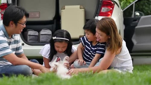 Family Playing With Siberian Husky Puppy In The Park