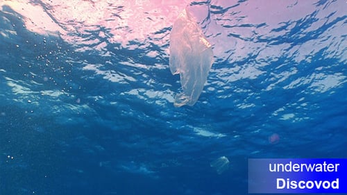 Plastic Bag Floating In Ocean