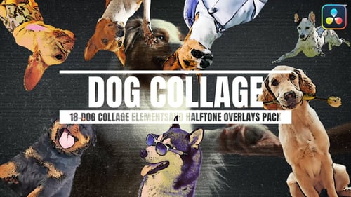 18-dog Collage Elements And Halftone Overlays For DaVinci Resolve