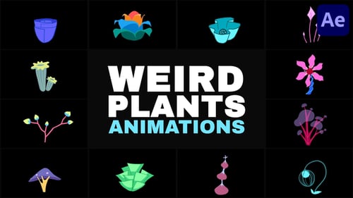 Weird Plants Animations | After Effects