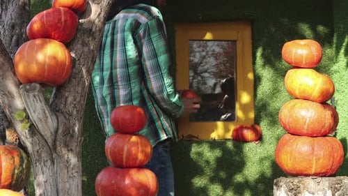 Person Stacking Pumpkins in Autumn Halloween Display