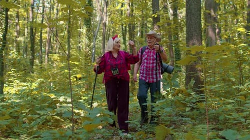 Active Senior Couple Hiking in Forest