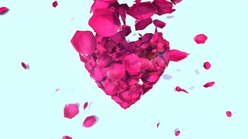 Falling Pink Rose Petals Form Heart Logo Reveal
