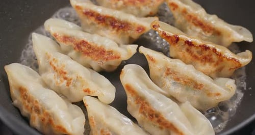 Delicious Dumplings Sizzling in Pan
