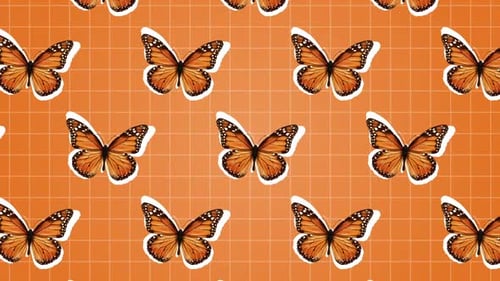 Butterfly Background