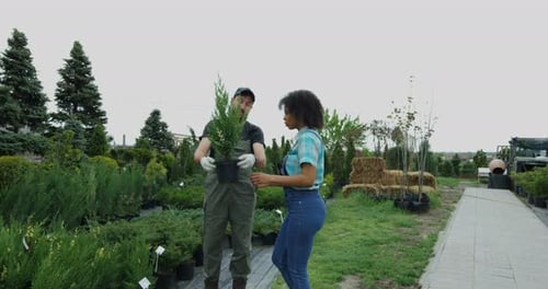 Gardeners Walking in Nursery Garden