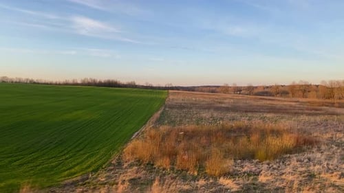 A green field in the middle of a yellow landscape