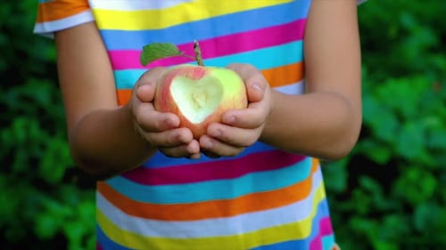 Das Kind isst einen Apfel im Garten