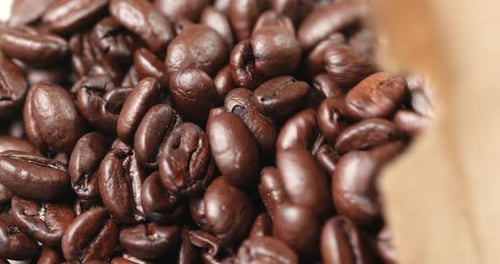 Roasted Coffee Beans