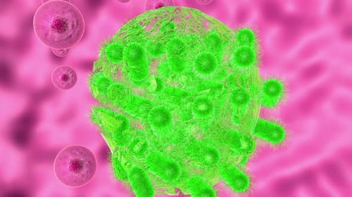 Animated Microscopic Cells Infected and Destroyed by Virus