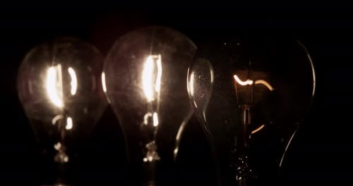 Light Bulb