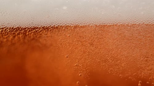 Cerveza fría y fresca 40