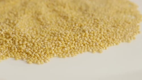 Imágenes UltraHD de Proso Millet Organic Slow Tilt 4K 2160p 30 fps UltraHD - Beans of Panicum miliaceu