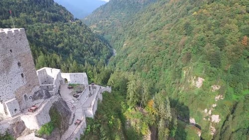 A Medieval Castle and Watchtower on the Edge of the Cliff in Dense Forest