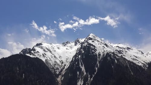 Treeless and Snowy Hill at Top of The Forested Mountain in Spring