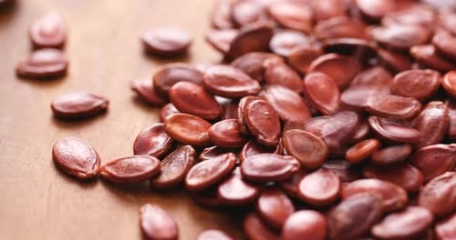 Red Melon Seed