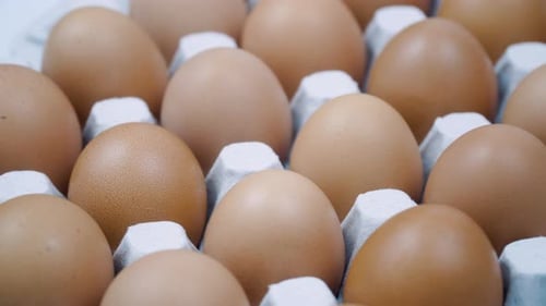 Oeufs de poulet bruns dans la vue latérale