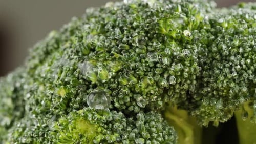 Broccoli Closeup Fresh Green Broccoli Vitamins Raw Food and Vegetarian Lifestyle Concept