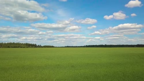 Flying Over a Green Field and