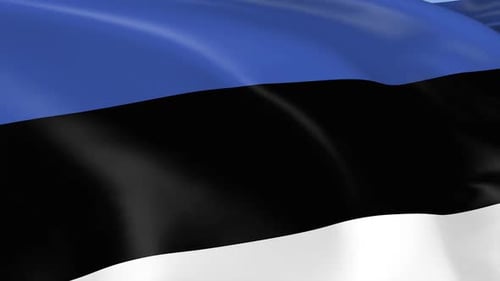 Realistic Waving Flag of Estonia Animation