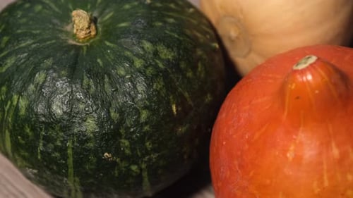 Various Gourds Sitting on a Wooden Surface