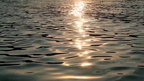 Golden Sunlight Reflecting on Calm Water Waves