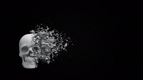 Skull Decay