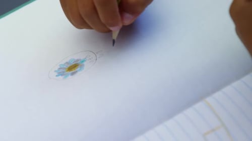 Schoolboy drawing pictures in classroom