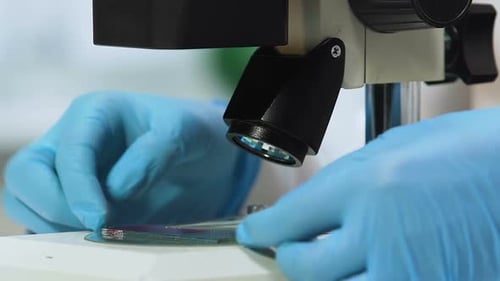 Wissenschaftlerin macht biochemische Analyse von Blut, Gentests, Nahaufnahme