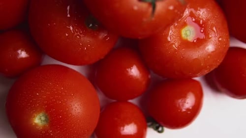 Fresh Red Tomatoes with Water Droplets