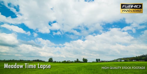 Meadow Time Lapse