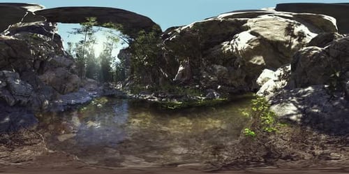 VR360 Bamboo Grove Near a Small Quiet Pond