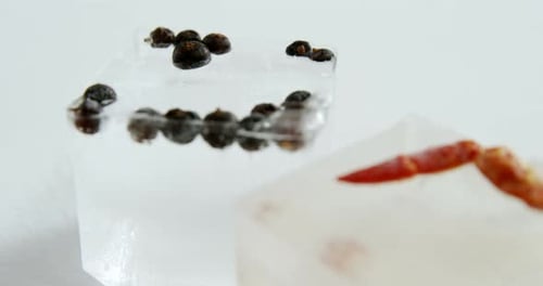 Ice Cubes Containing Seeds and Chili Pepper
