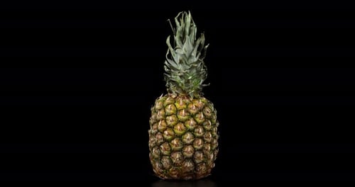 Fresh Pineapple Rotates Slowly on the Table