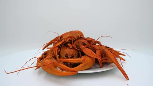 Red boiled crayfish