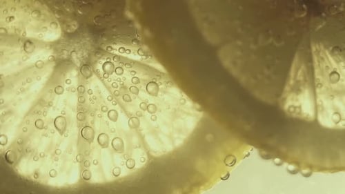 Lemon Slices in Sparkling Beverage, Close Up