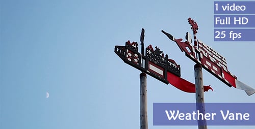 Wetter Vane