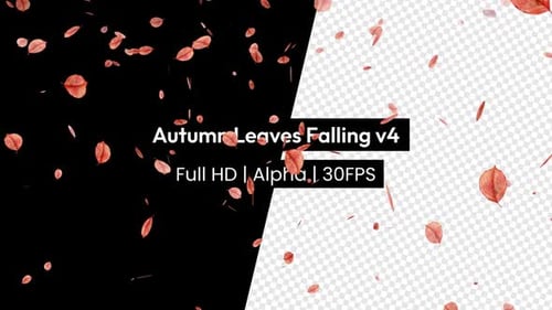 Falling Autumn Leaves Natural Overlay Animation