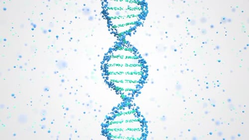 DNA-Molekül-Ball-Modell