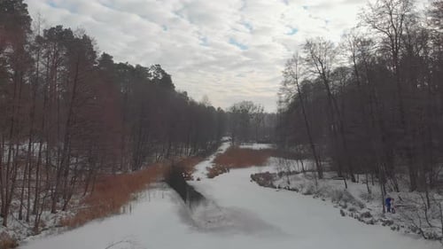 Winterwald mit Fluss