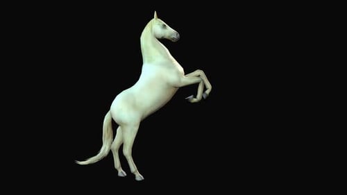 Majestic White Horse Rearing Animation on Transparent Background