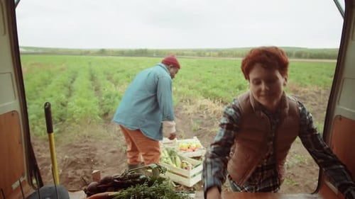 Cheerful Multiethnic Farmers Loading Harvest in Van
