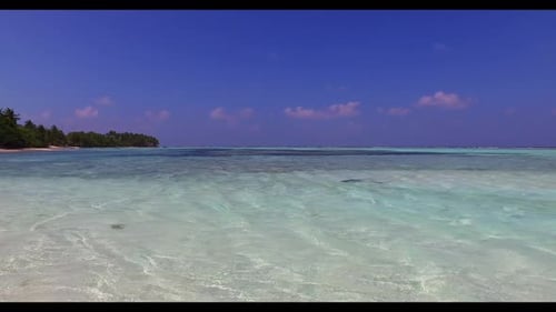 Aerial top view seascape of perfect seashore beach wildlife by transparent ocean and white sand back