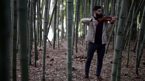 a Male Musician Plays the Violin Standing in a Bamboo Garden in Nature