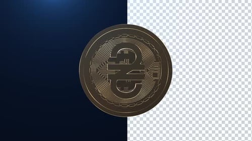 Hryvnia/Ukraine Currency