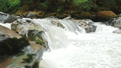 Nature : rivière, cascade dans la forêt, parc national de Washington, North Cascades, États-Unis