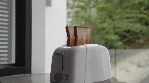 Toaster Pops Up Two Slices of Bread