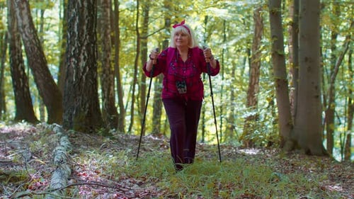Senior Old Caucasian Tourist Hiker Grandmother Training Nordic Walking with Trekking Poles in Forest