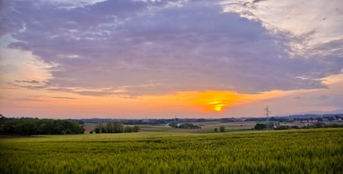 Sommerlicher Sonnenuntergang über Feldern
