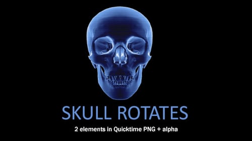 Rotating Futuristic Holographic Skull X-Ray Scan Animation